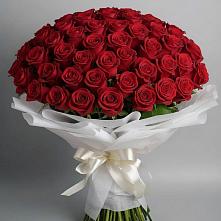 Букет 101 Красная роза Блэк Мэджик в Митякинской