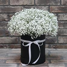 Цветочная композиция из Гипсофила в шляпной коробке #REPLACE_PRED# Митякинской