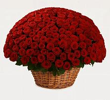 Премиум букет из: Розы в Митякинской